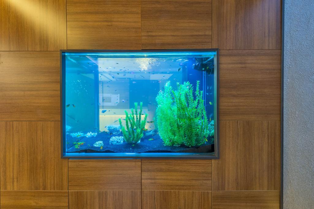 Hotel Matiat Hotel Istanbul Istanbul
